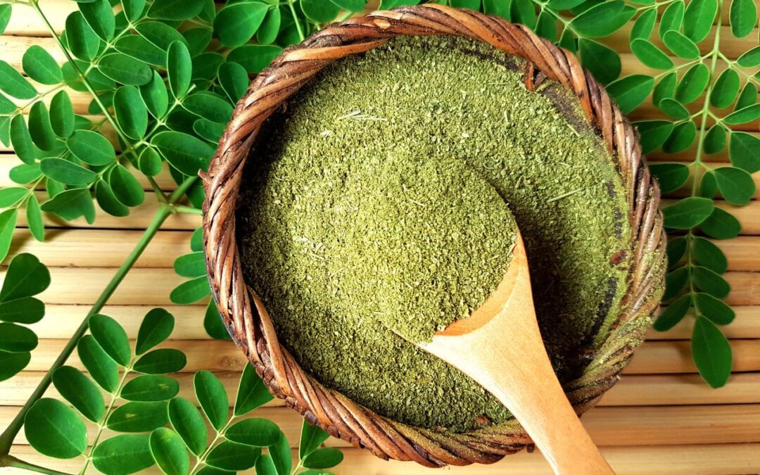 Les bienfaits du moringa : exploration détaillée de l&rsquo;arbre de vie